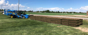 R300 with roll pallets